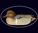 Duck Carving by JoAnn Bernard