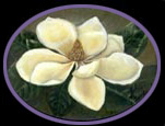 Click here to view Magnolia Slates